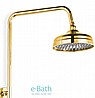 מוט פינוק ברונזה רטרו עם מזלף מיקרופון BRASS