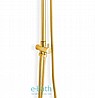 מוט פינוק ברונזה רטרו עם מזלף מיקרופון BRASS