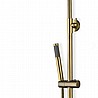 מוט פינוק ברונזה רטרו עם מזלף מיקרופון BRASS