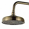 מוט פינוק ברונזה רטרו עם מזלף טלפון BRASS
