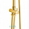 מוט פינוק ברונזה רטרו עם מזלף מיקרופון BRASS