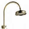 מוט פינוק ברונזה טלסקופי ראש אנגלי BRASS
