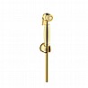 מיתז בידה להיגיינה זהב BRASS